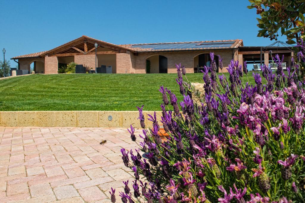 Agriturismo Deni Apartment Cenaia Exterior foto